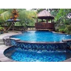 spesialist swimming pool  1