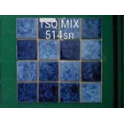  mosaic mass tile swimming pool 1