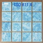 Swimming Pool Mosaic Tsq 811 R 1