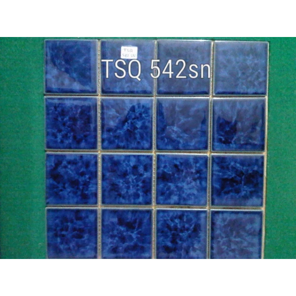 Mosaic Swimming Pool Type TSQ 542 Mb